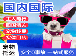 玉林福绵机场托运国际宠物托运 【国
